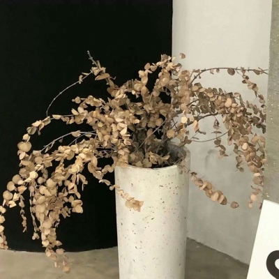 庆云福瑞交流群